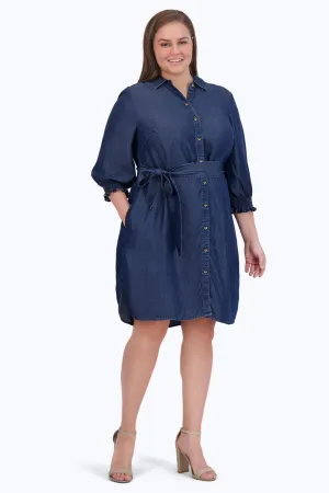 Abby Plus Tencel Dress