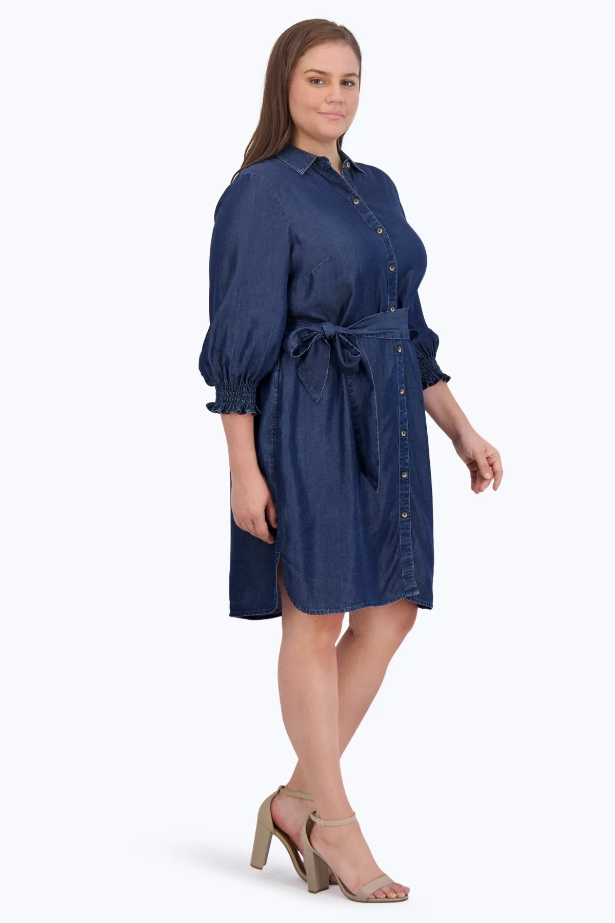 Abby Plus Tencel Dress