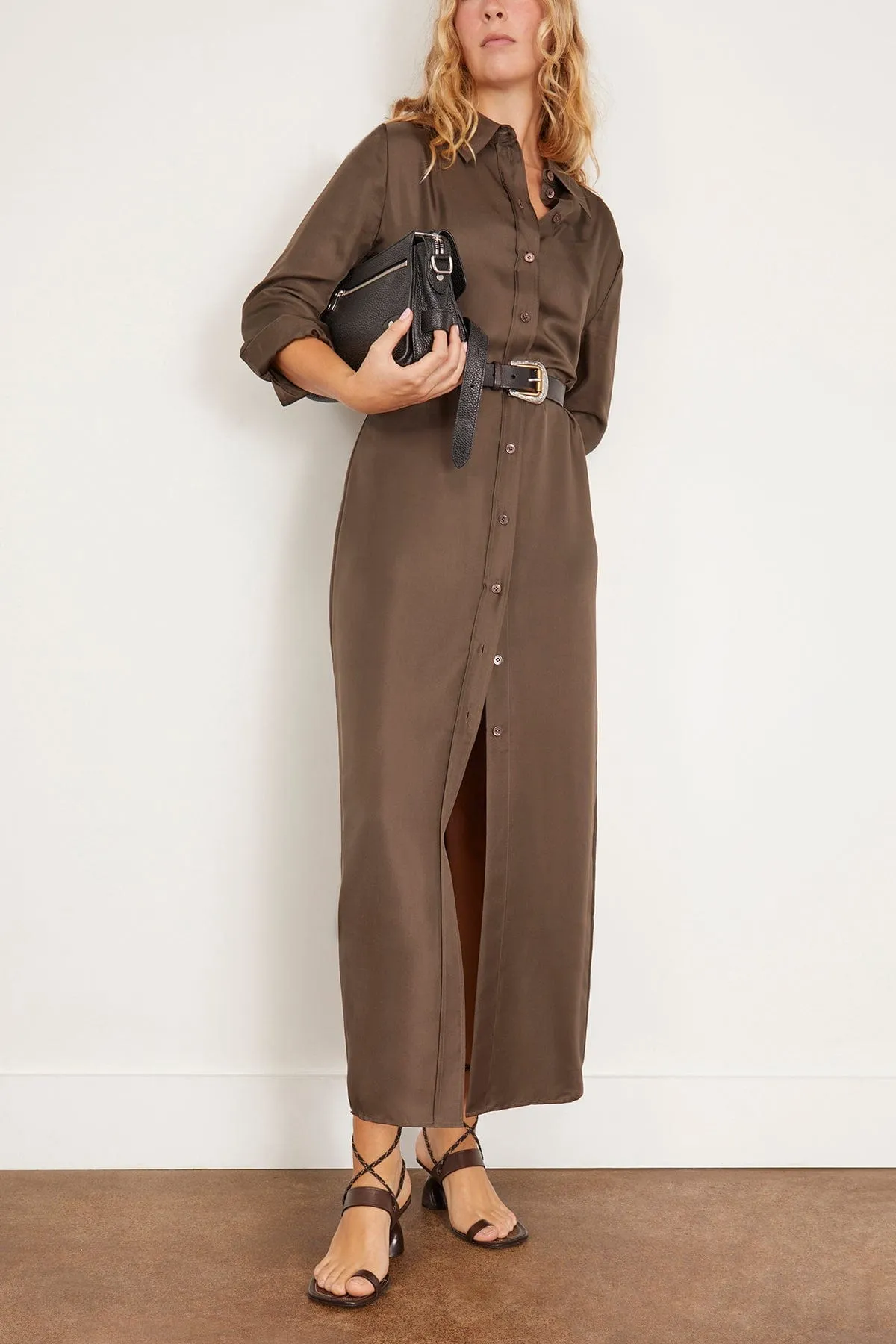 Elongated Silk Shirt Dress in Earth